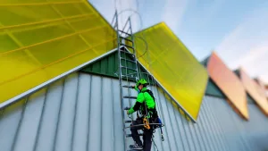 Operario de trabajos en altura usando escalera con protección dorsal