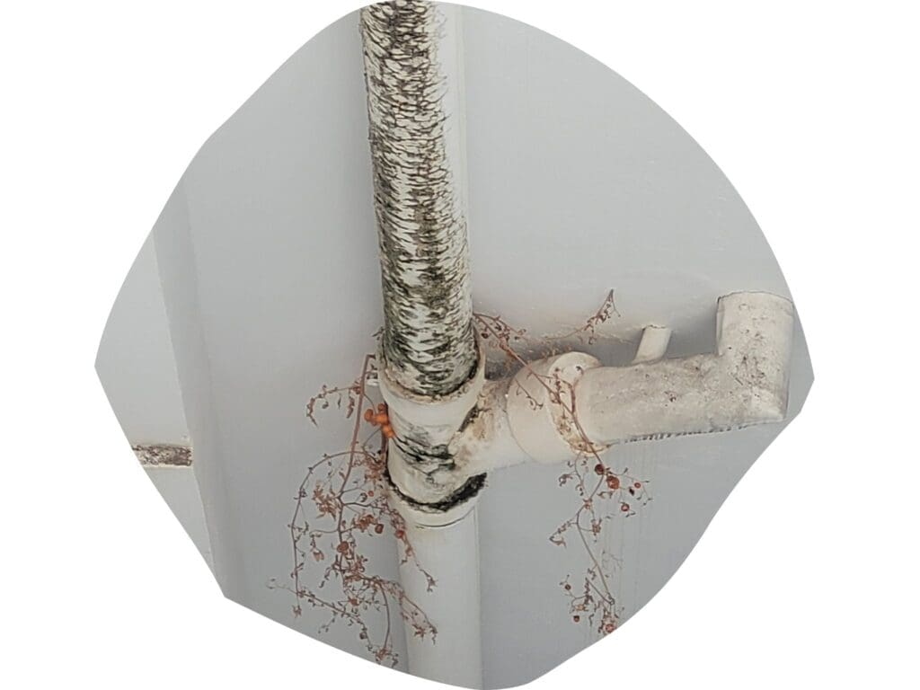 Bajante de fibrocemento